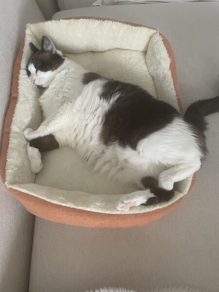 Caut post in care sa dorm