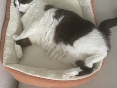 Caut post in care sa dorm