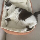 Caut post in care sa dorm